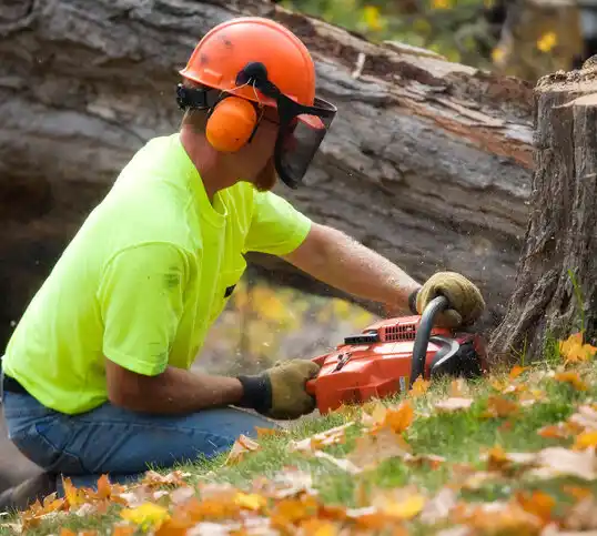 tree services Saddle Rock Estates